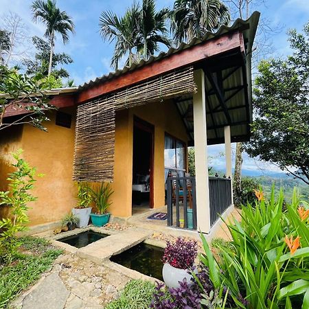 Rainforest Nature House Deniyaya Exterior photo