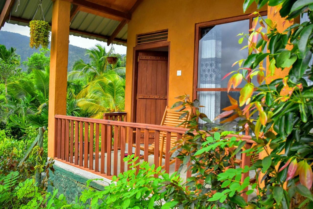 Rainforest Nature House Deniyaya Exterior photo