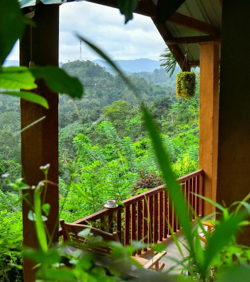 Rainforest Nature House Deniyaya Exterior photo