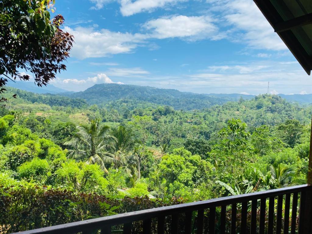 Rainforest Nature House Deniyaya Exterior photo