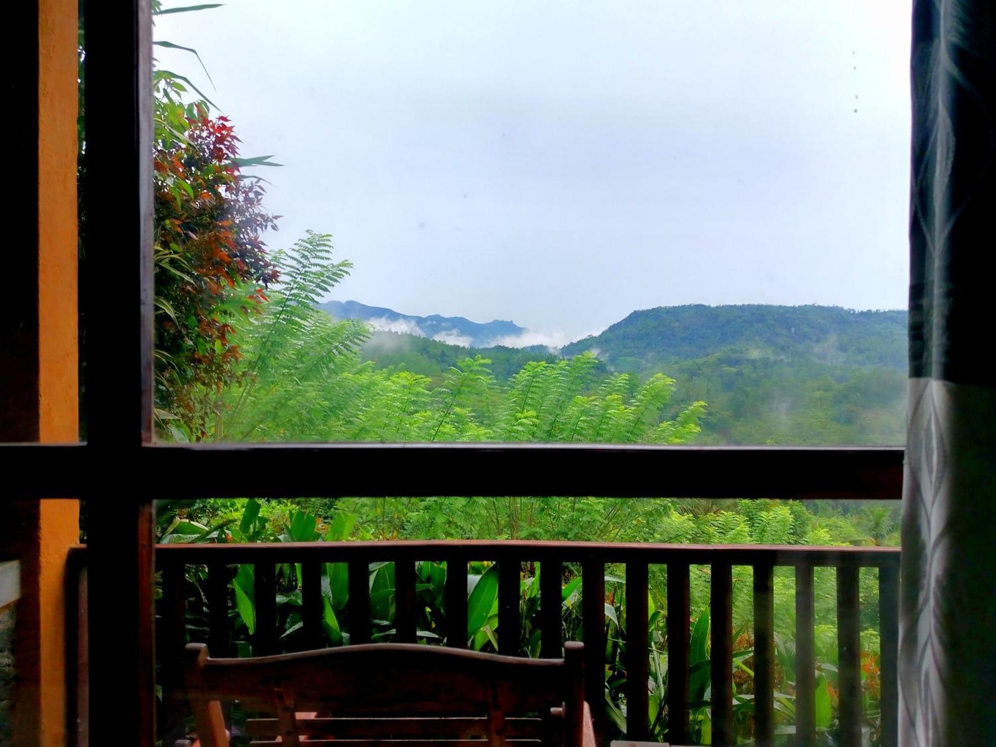 Rainforest Nature House Deniyaya Room photo
